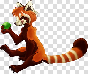 red panda, orange and brown fox illustration transparent background PNG clipart thumbnail
