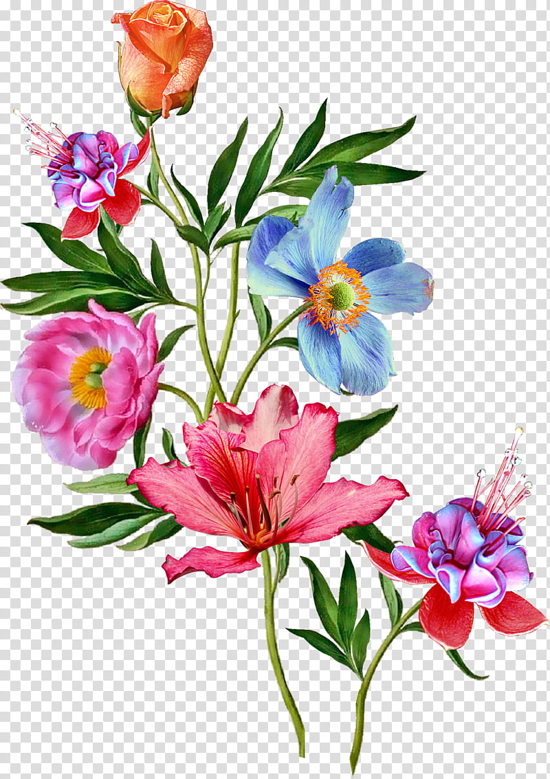 Bouquet Of Flowers Drawing, Floral Design, Flower Bouquet, Watercolor Painting, Rose, Plant, Cut Flowers, Flower Arranging transparent background PNG clipart