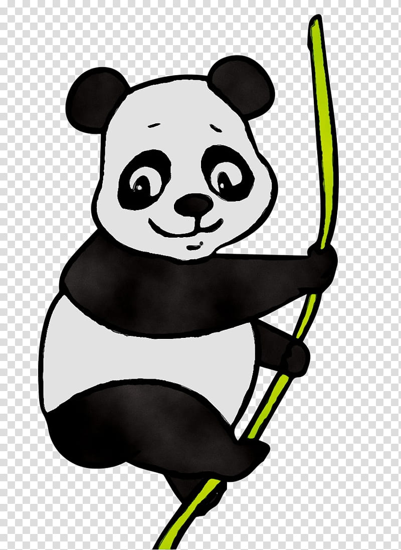 Bamboo, Giant Panda, Red Panda, Bear, Drawing, Pandas, Cartoon transparent background PNG clipart