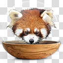 Sphere   the new variation, red panda inside bubble and bowl illustration transparent background PNG clipart