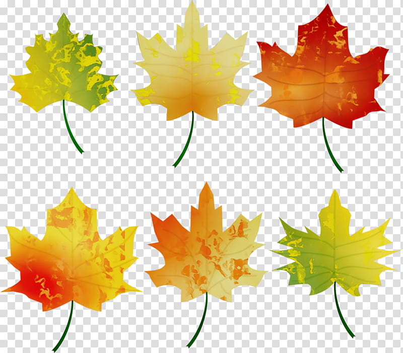 Fall Foliage, Watercolor, Paint, Wet Ink, Autumn, Autumn Leaf Color, Season, Colorful Fall Foliage transparent background PNG clipart