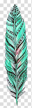 blue feather art transparent background PNG clipart