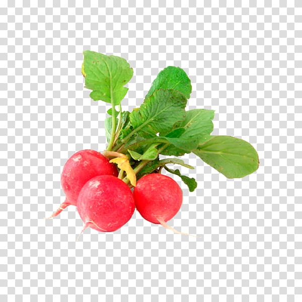 Fruit, Radish, Vegetable, Cranberry, Turnip, Legume, Bean, Ingredient transparent background PNG clipart