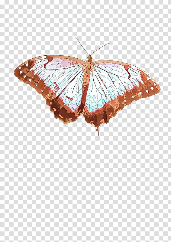 Monarch butterfly, Moths And Butterflies, Insect, Brushfooted Butterfly, Pollinator, Lycaenid transparent background PNG clipart