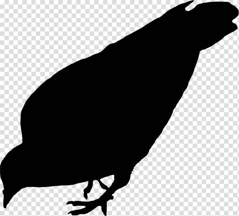 Bird Silhouette, Taipei, Data, Country, Flag, Taiwan, Asia, Beak transparent background PNG clipart