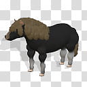 Spore creature Shetland Pony , black and brown horse D illustration transparent background PNG clipart