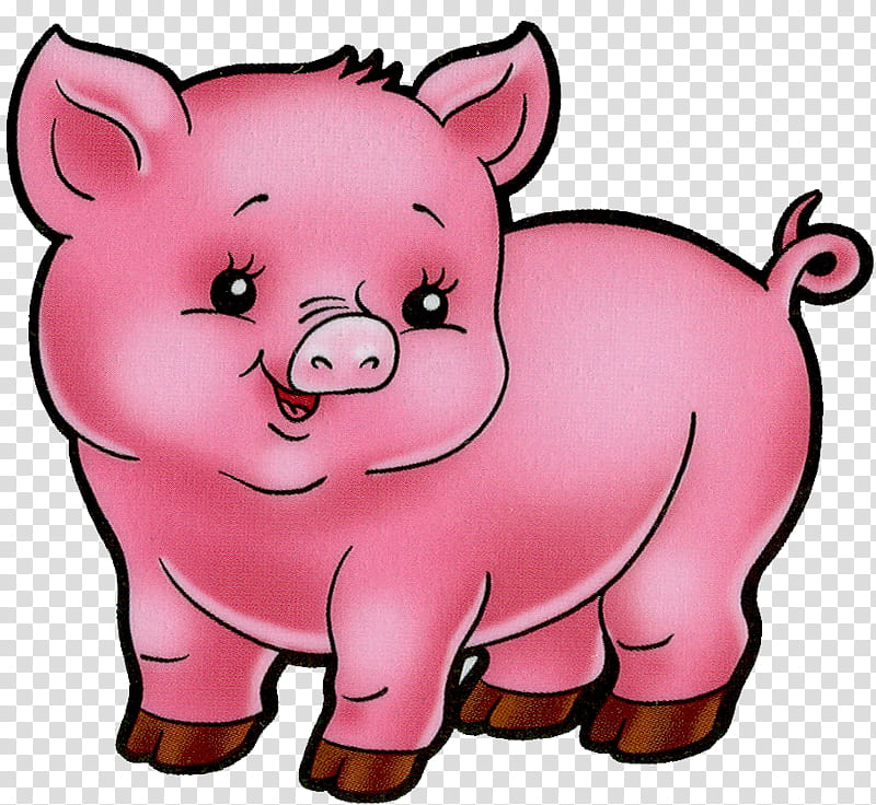 Pig, Miniature Pig, Infant, Drawing, Pig Farming, Pink, Nose, Snout transparent background PNG clipart