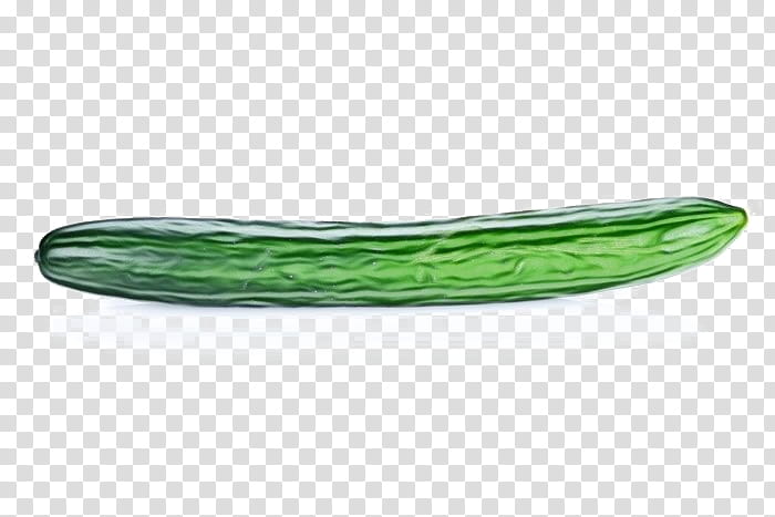 Watercolor Plant, Paint, Wet Ink, Cucumber, Cucumber M, Vegetable, Cucumis, Zucchini transparent background PNG clipart
