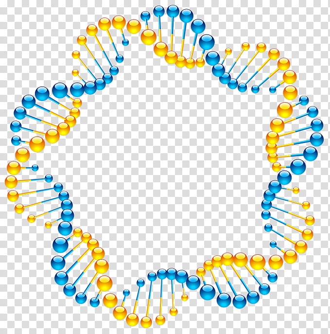 Double Helix, Dna, Nucleic Acid Double Helix, Molecular Models Of Dna, Molecular Biology, Nucleic Acid Structure, , Genetics transparent background PNG clipart
