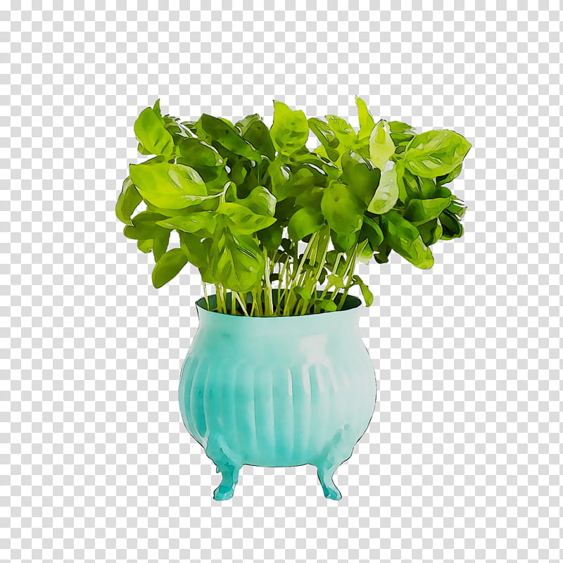 Green Grass, Malhar Decor, Wall, Business, Interior Design Services, Vase, Retail, Manufacturing transparent background PNG clipart