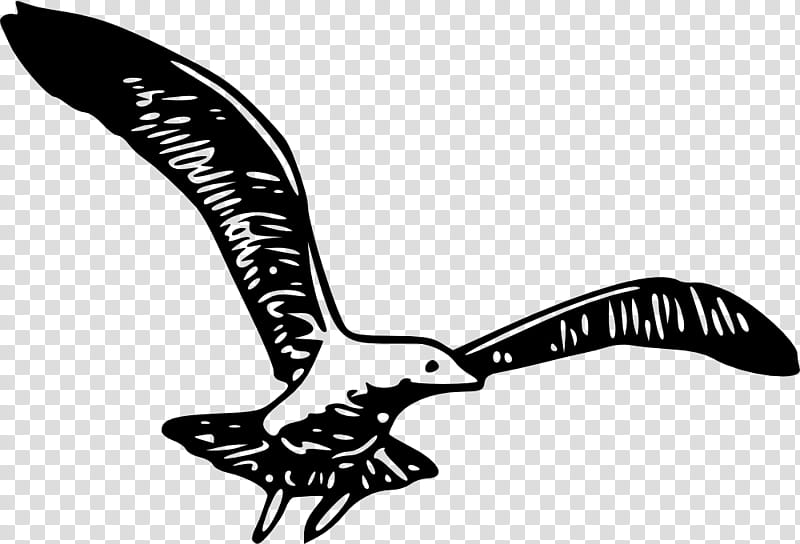 Hummingbird Tattoo, Wing, Bird Flight, Tattoo , Eagle, Drawing, Beak, Blackandwhite transparent background PNG clipart