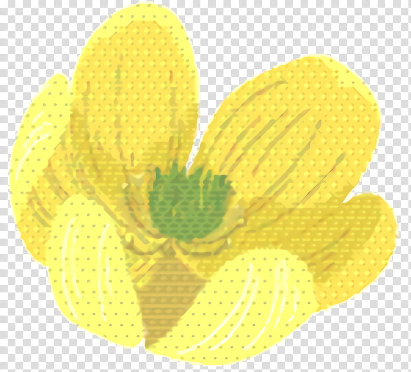 Yellow, Plants, Petal, Flower, Narcissus, Pollen, Wildflower transparent background PNG clipart