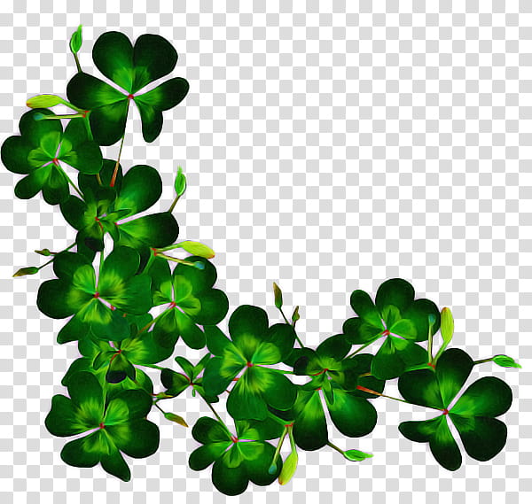 Saint Patricks Day, Leaf, Fourleaf Clover, National ShamrockFest, Plants, Herb, Autumn Leaf Color, Plant Stem transparent background PNG clipart