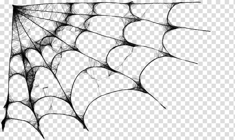 Cobweb transparent background PNG clipart