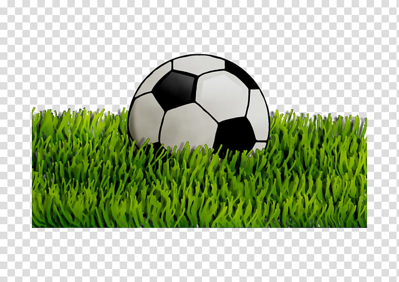 Green Grass, Ball, Golf Balls, Football, Grasses, Frank Pallone, Soccer Ball, Grass Family transparent background PNG clipart