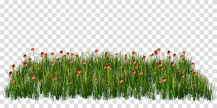 Family Tree, Painting, Plants, Grass, Grass Family, Wheatgrass, Commodity, Meadow transparent background PNG clipart