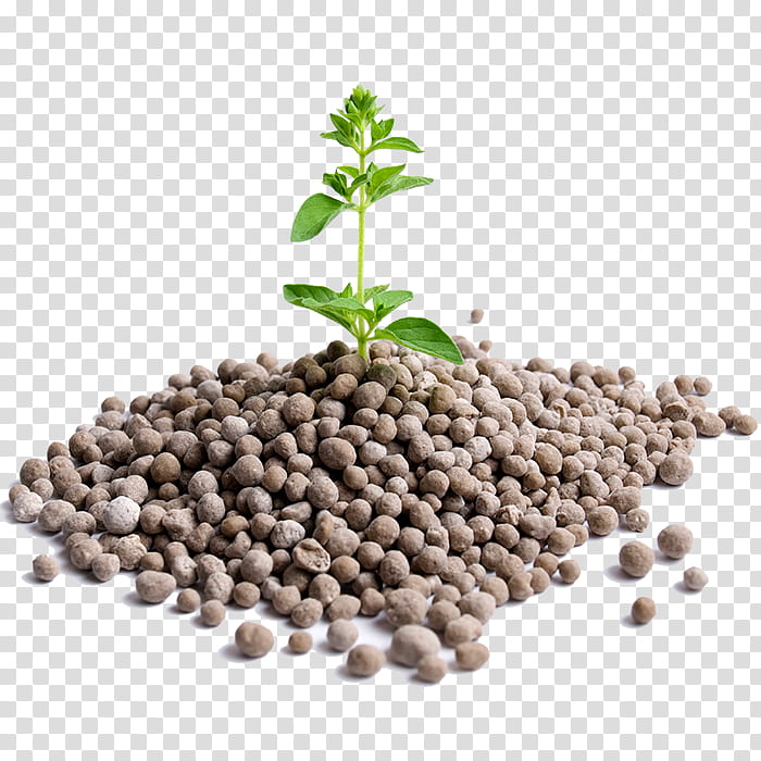 Earth, Fertilisers, Agriculture, Manure, Superphosphate, Organic Fertilizer, Crop, Biofertilizer transparent background PNG clipart