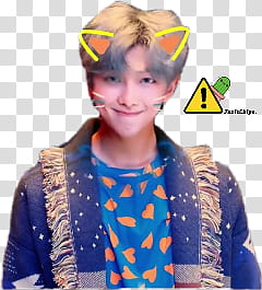 GIFS S KIM NAMJOON IDOL transparent background PNG clipart