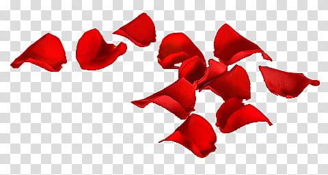 Rose Petal Red PNG Clip Art Image