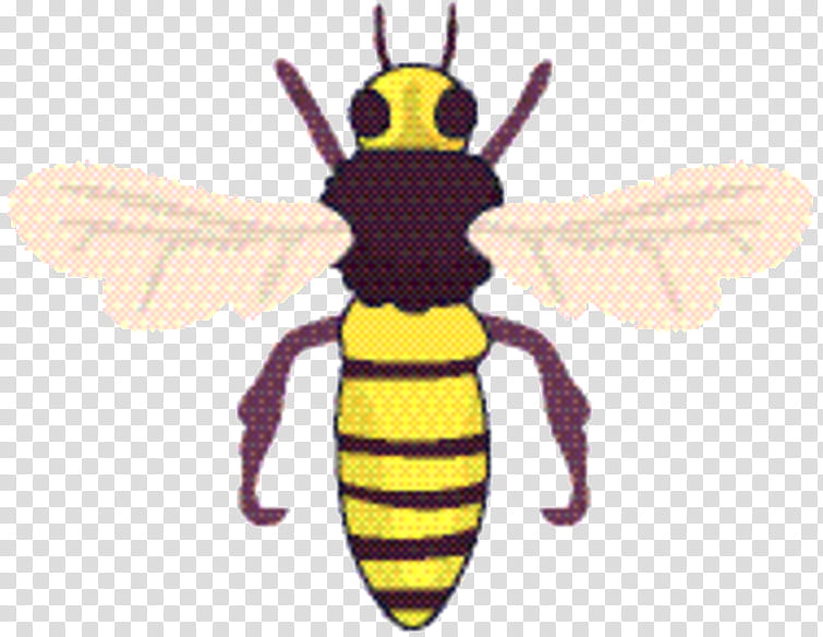 Bee, Honey Bee, Hornet, Insect, Eumenidae, Honeybee, Pest, Bumblebee transparent background PNG clipart