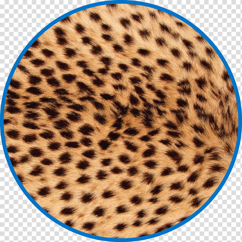 Cats, Cheetah, Leopard, Gepardfell, Alamy, Animal Print, Acinonyx, Fur transparent background PNG clipart