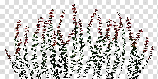 TESV Skyrim Mushroom Land XPS Xnalara, red petaled flowers transparent background PNG clipart