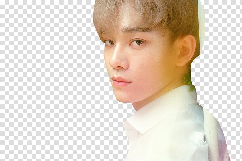 Chen Jing wearing white collared shirt glancing his left side transparent background PNG clipart