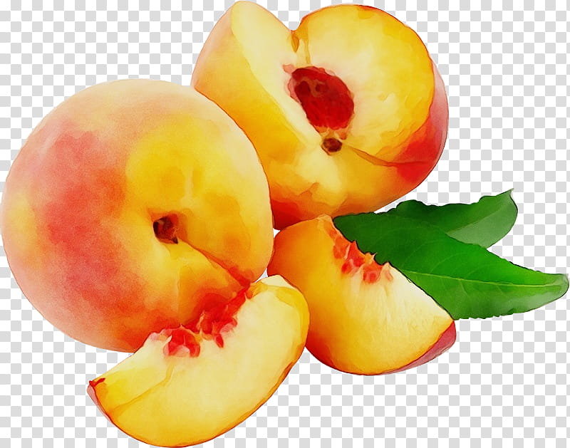 natural foods fruit food european plum plant, Watercolor, Paint, Wet Ink, Yellow, Peach, Nectarine, Nectarines transparent background PNG clipart