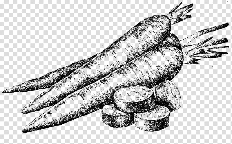 Carrot, Drawing, Pointillism, Vegetable, Stippling, Silhouette, Thumb, Hand Model transparent background PNG clipart