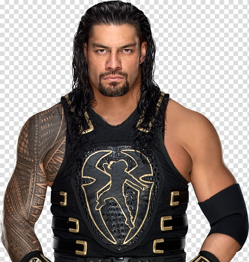 Roman Reigns  Profile transparent background PNG clipart