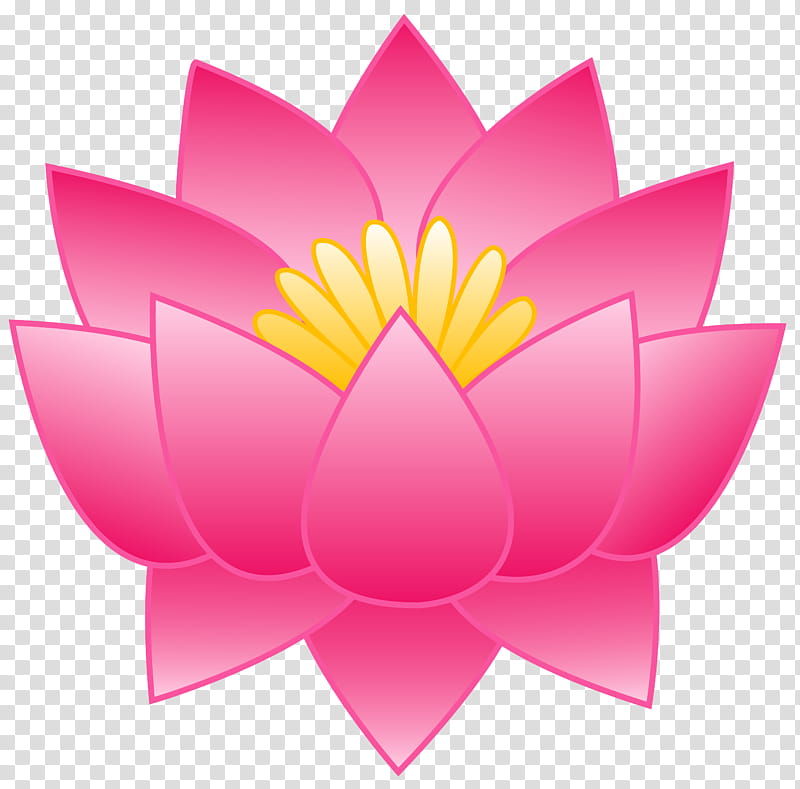 Drawing Of Family, Nymphaea Nelumbo, Flower, Pink, Petal, Lotus Family, Sacred Lotus, Aquatic Plant transparent background PNG clipart