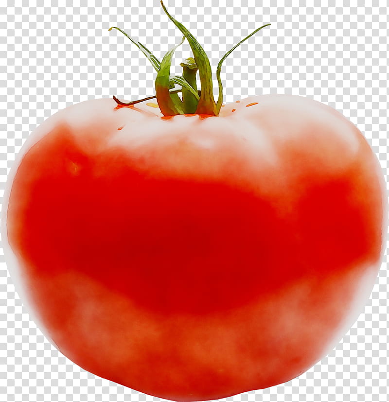 Tomato, Vegetable, Cherry Tomato, Salad, Fruit, Natural Foods, Solanum, Plum Tomato transparent background PNG clipart