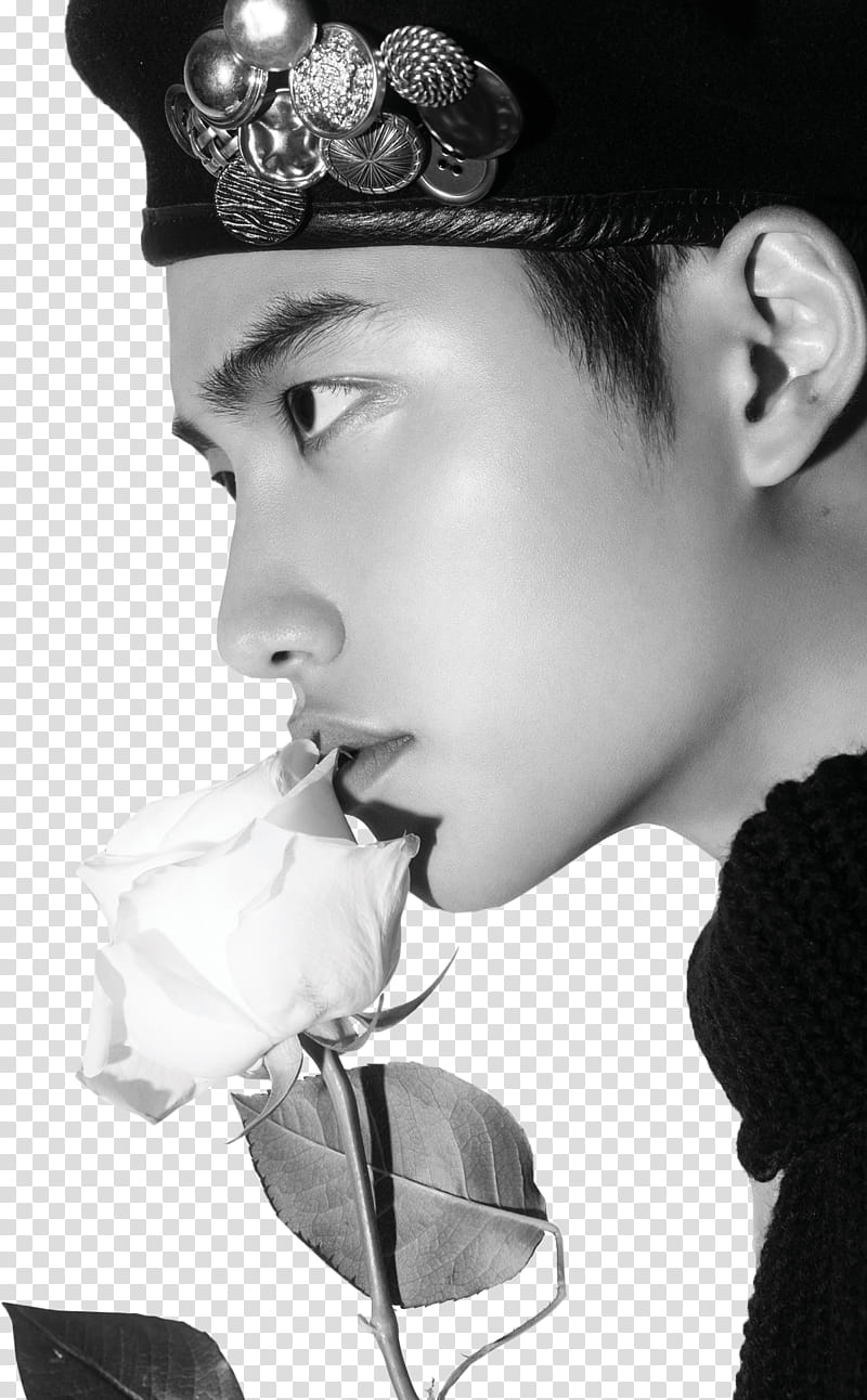 D O EXO Don t Mess Up My Tempo, grayscale of man kissing white rose transparent background PNG clipart