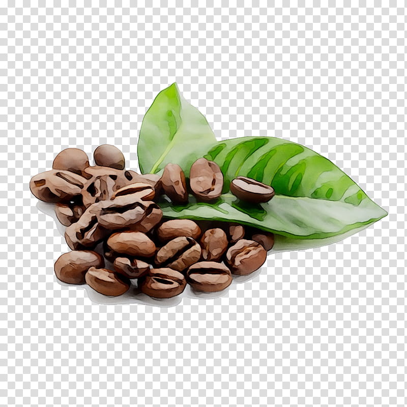 Mountain, Coffee, Cafe, Espresso, Tea, Coffee Bean, Organic Coffee, Arabica Coffee transparent background PNG clipart