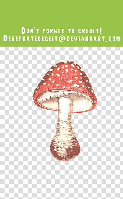 red and brown mushroom illustration transparent background PNG clipart