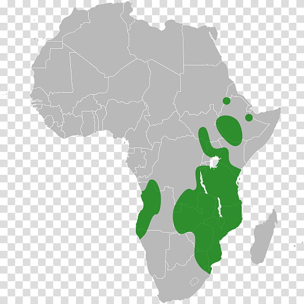 Map, Africa, African Union, Southern African Development Community, Member States Of The African Union, Southern African Customs Union, African Continental Free Trade Agreement, African Continental Free Trade Area transparent background PNG clipart