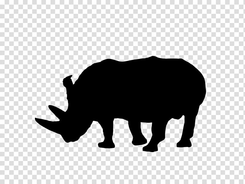Bear, Cattle, Black White M, Silhouette, Snout, Animal, Black M, Rhinoceros transparent background PNG clipart