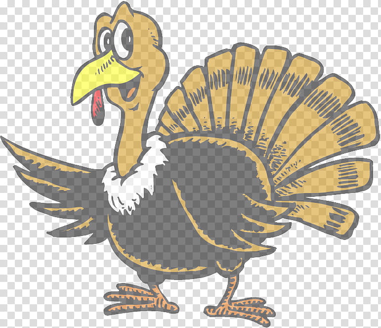 bird turkey cartoon flightless bird beak, Domesticated Turkey, Wing transparent background PNG clipart