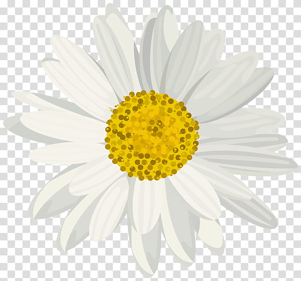 Black And White Flower, Drawing, Painting, Logo, Oxeye Daisy, Yellow, Chamaemelum Nobile, Daisy Family transparent background PNG clipart