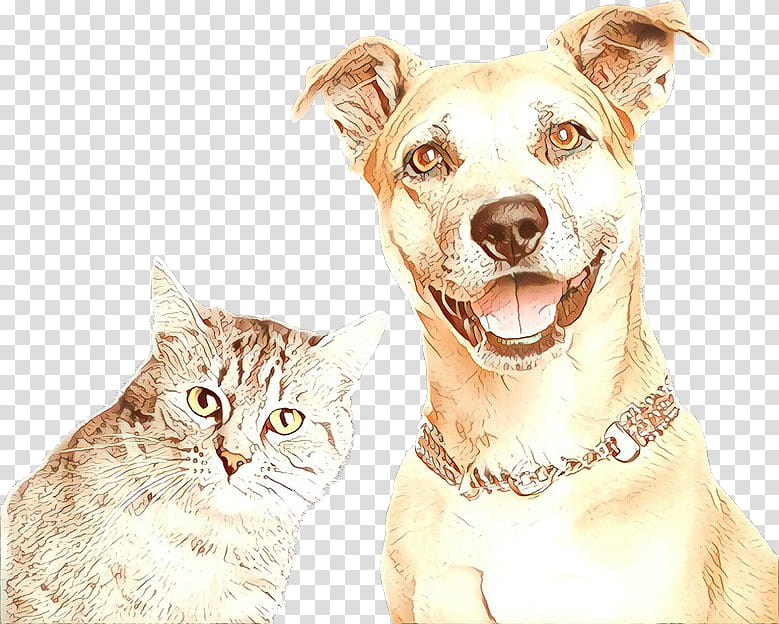 Cat And Dog, Cartoon, Pet, Whiskers, Kitten, Kennel, Cattery, Puppy transparent background PNG clipart