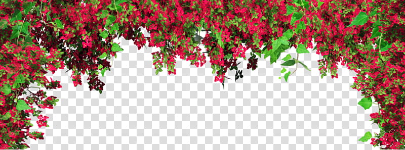red flowers with leaves, red petaled flowers border transparent background PNG clipart