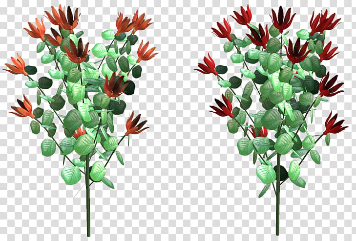 Various Garden Items , red and green flower illustration transparent background PNG clipart