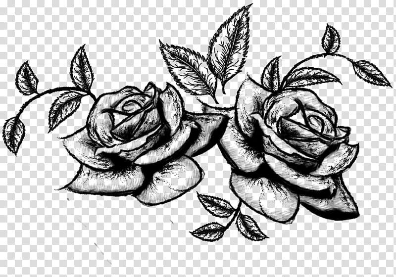 rose bouquet clipart black and white