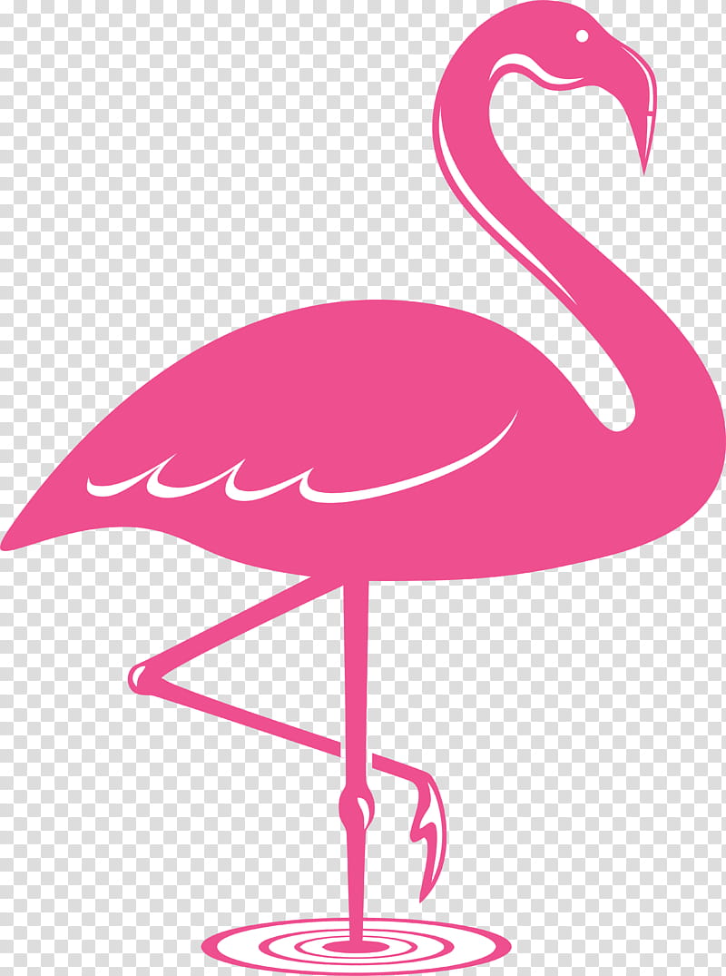 Flamingo, Bird, Greater Flamingo, Pink, Water Bird, Beak, Magenta transparent background PNG clipart