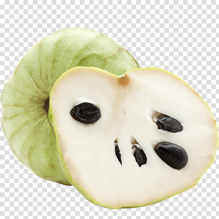 Apple, Cherimoya, Fruit, Food, Snout transparent background PNG clipart