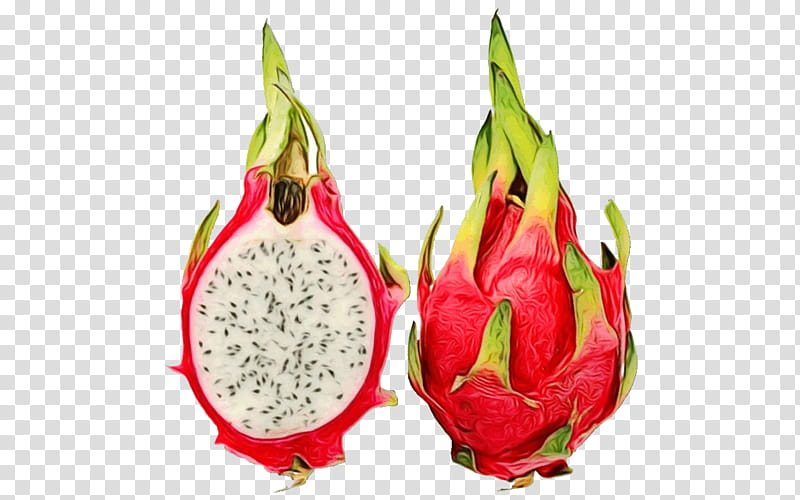 Tropical Flower, Juice, Whitefleshed Pitahaya, Pitaya, Food, Fruit, Colombian Cuisine, Tropical Fruit transparent background PNG clipart