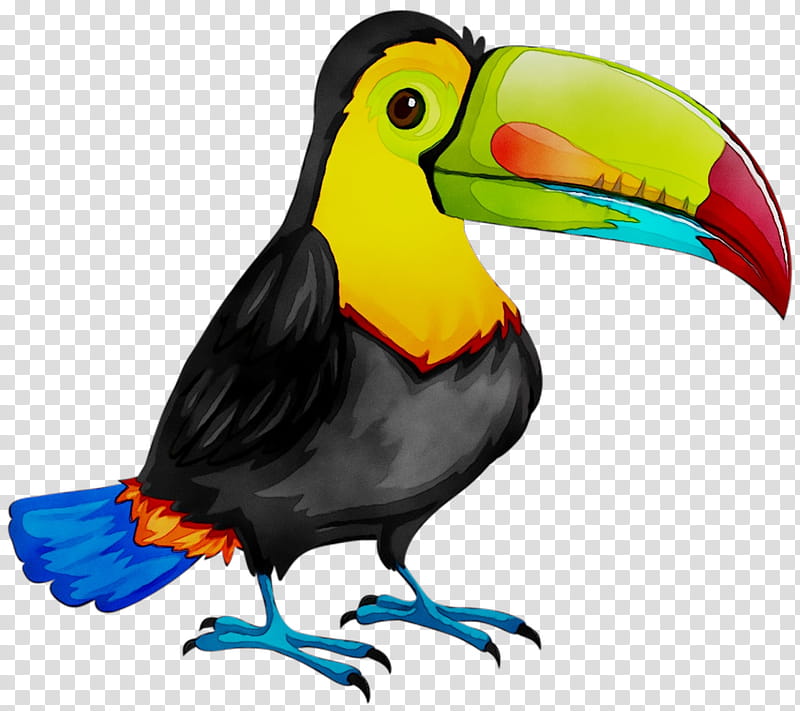 How to Draw a Tropical Bird - HubPages