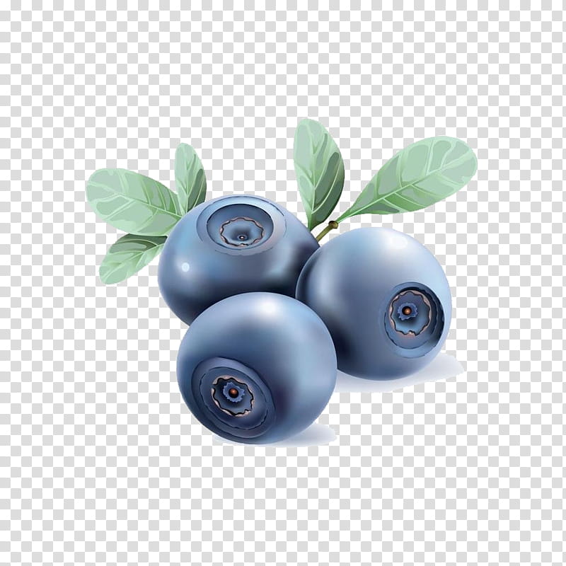 Graphic, Blueberry Tea, Berries, Bilberry, Fruit, Superfood transparent background PNG clipart