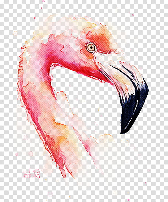 Flamingo, Bird, Watercolor Paint, Greater Flamingo, Water Bird, Beak, Pink, Drawing transparent background PNG clipart