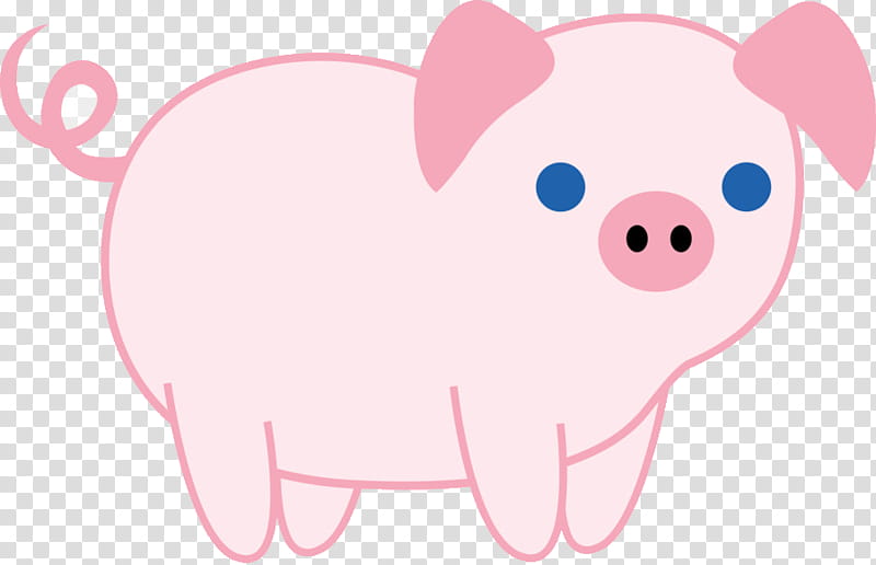 pink domestic pig cartoon snout, Suidae, Animal Figure, Live transparent background PNG clipart